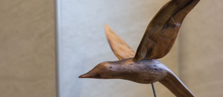 פרטי אומנות והום סטיילינג